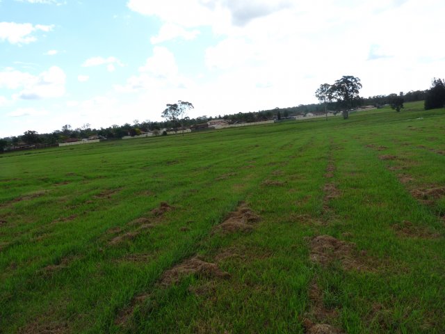 Blacktown Native Institution site